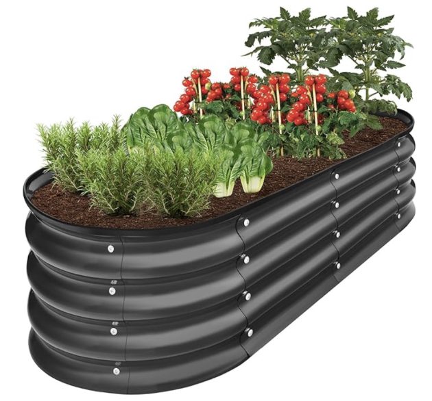 Garden Bed